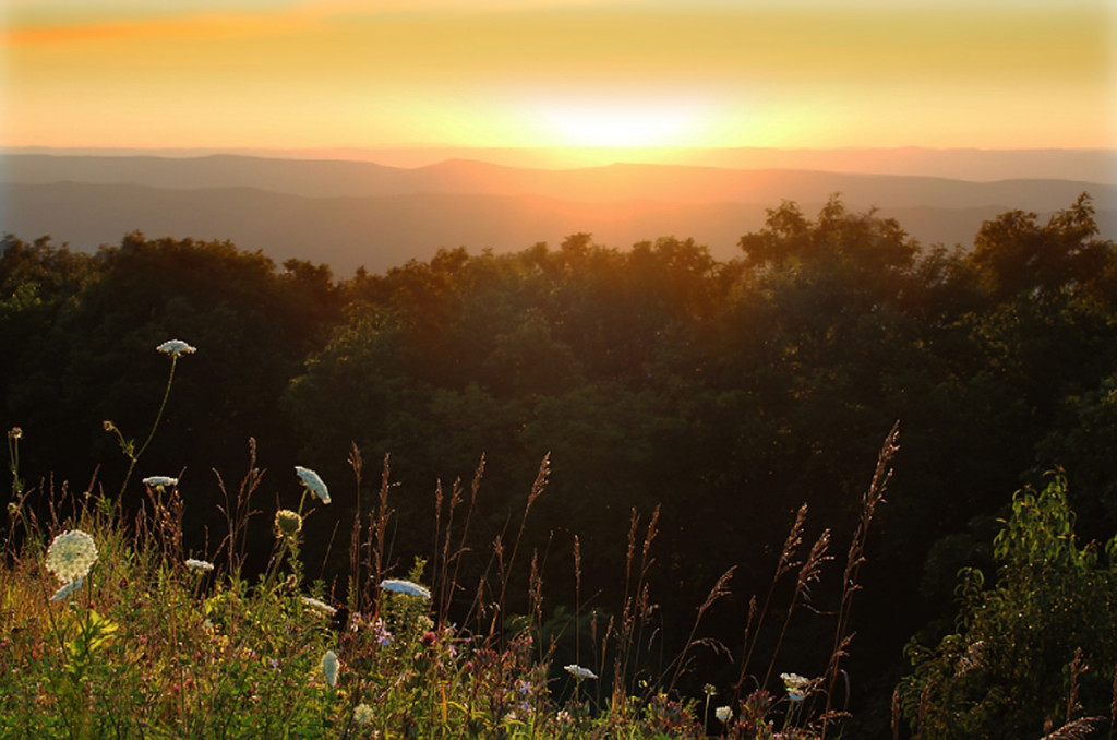 Shenandoah National Park