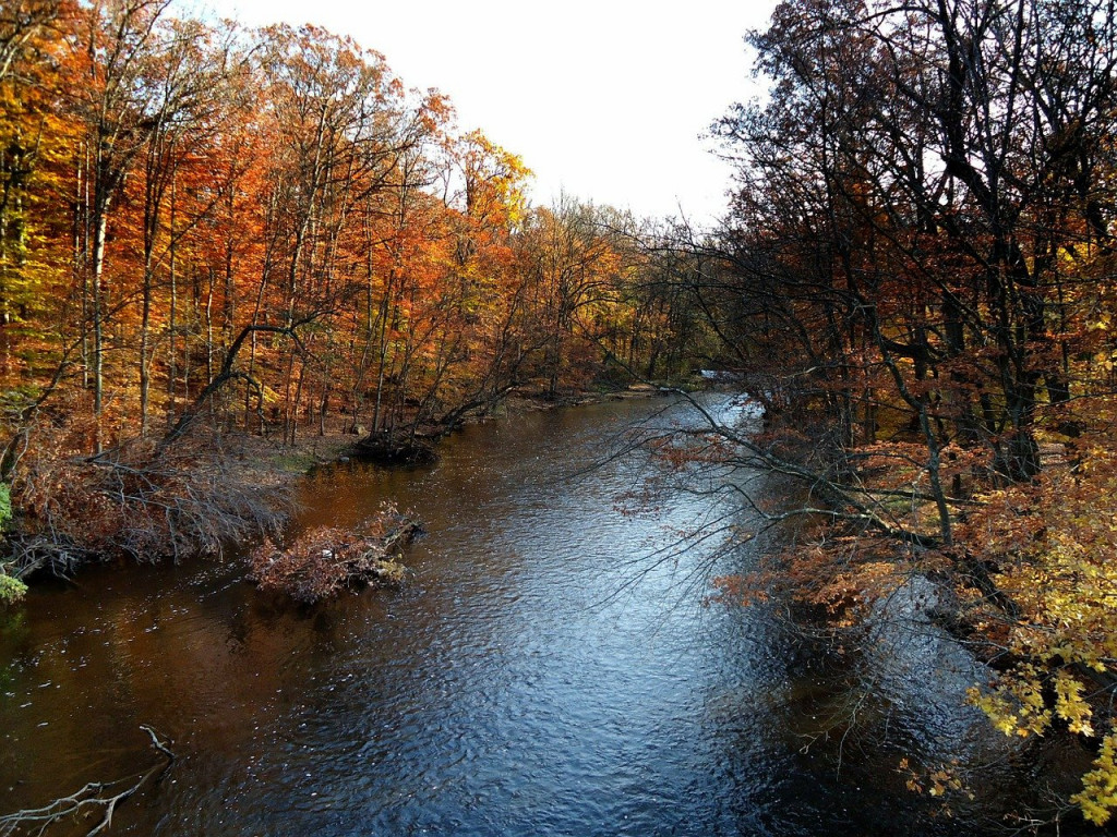 New Jersey Camping